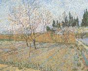 Vincent Van Gogh Orchard with Peach Trees in Blossom (nn04) USA oil painting reproduction
